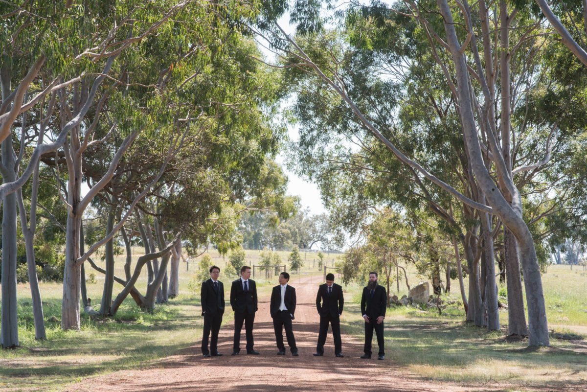 Groom and groomsmen standing in country lane with gum trees at Tannamurra, Swan Valley, Perth