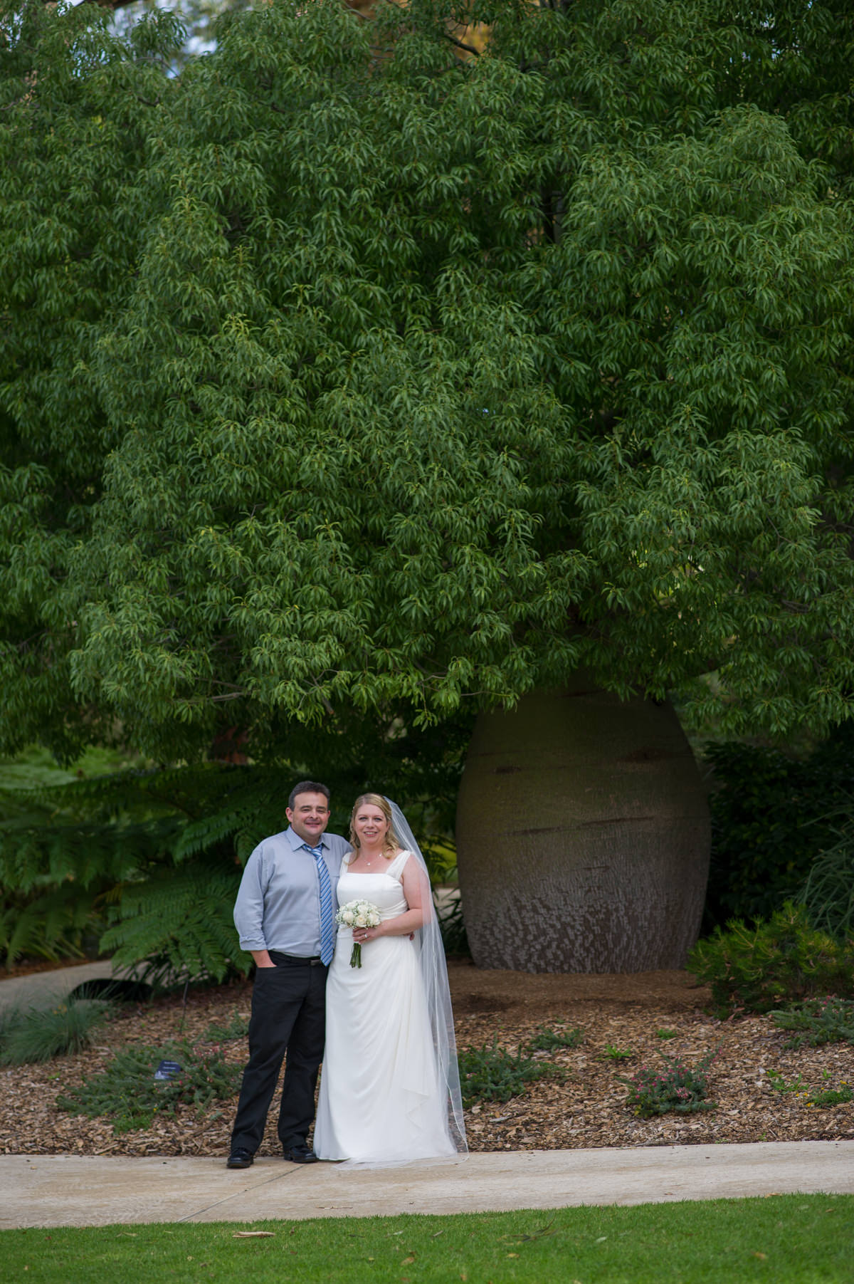 Bride and groom with bottle tree at King's Park, Perth
