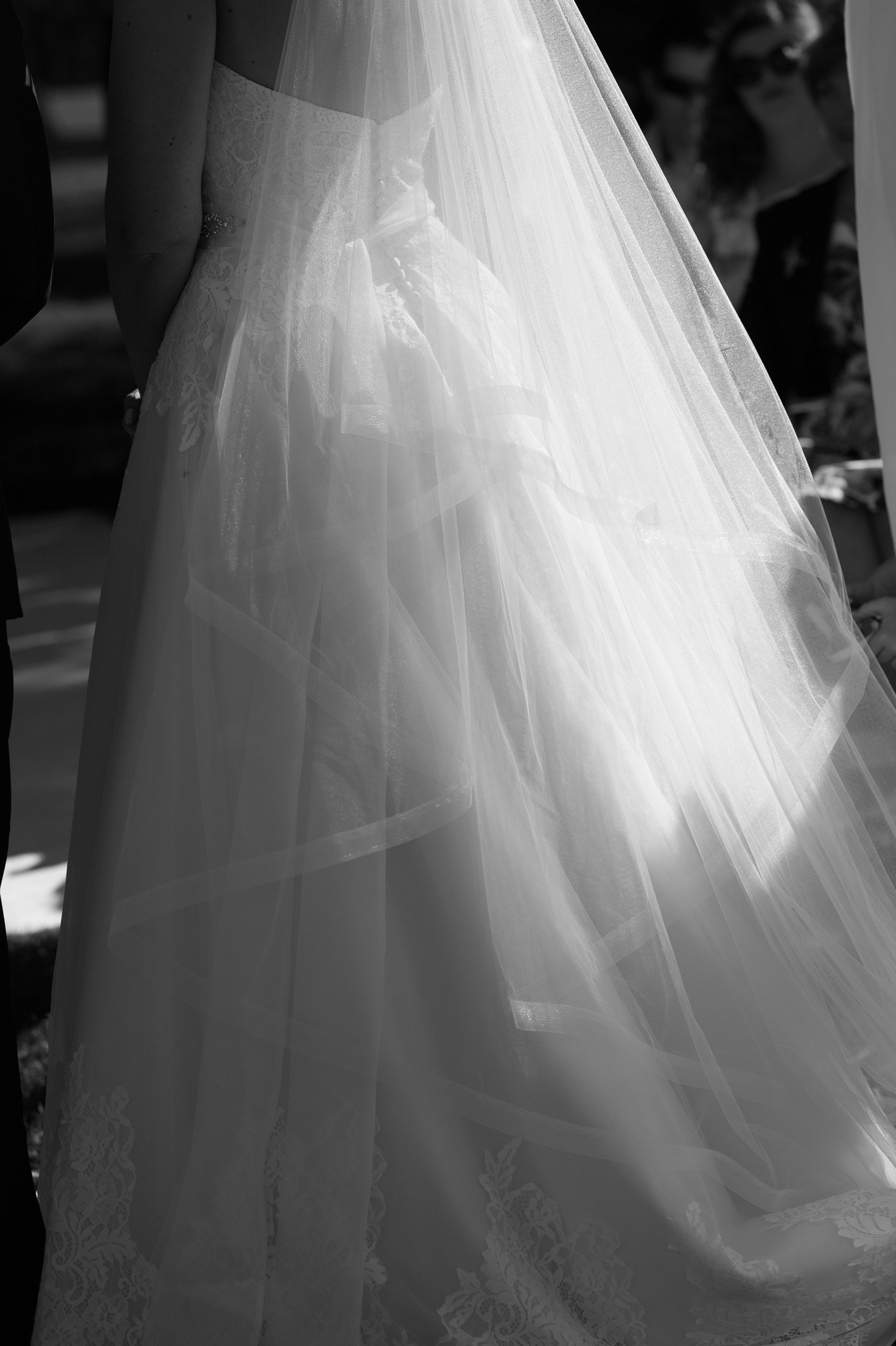 sunlight glowing through the bride's veil and dress